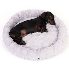 kutyabarát szállás